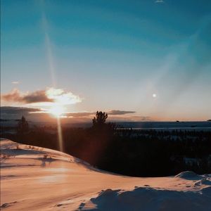 Meet your Posher, Ella